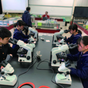 ホヤの発生生物学実習