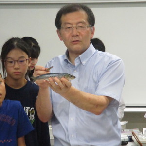 公開講座「煮干しの心臓ってどれ？～煮干しとイワシの比較解剖～ 」を開催しました